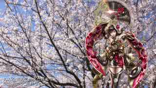 【Sachiko】桜ノ雨【ボカロカヴァー】