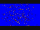 星空と化した先輩BB.mp4
