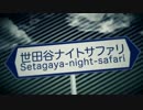 世田谷ナイトサファリ 歌ってみた 【みずり】