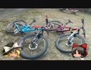 おっさんとMTBのある休日15