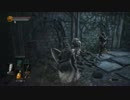 【DARK SOULS Ⅲ】オッサン魔術剣士の初見攻略part16【生贄の道】