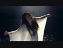Birdy - Wild Horses