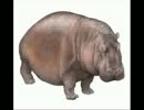 運の悪いヒポポタマス