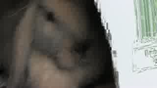 ウサギかわいいいいいいいいいいいいいいいいいいい！！！！！！！