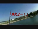 【にしやんFC】野郎３人で釣堀行って来た！第２弾！