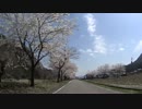 岐阜県郡上市白鳥町二日町サイクリングロード