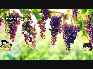 【牧場物語】リアルでもゲームでも牧場part48.5【ゆっくり実況】