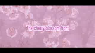 【アコギ(オケ有)＆歌】The cherry blossom front【桜ソング】