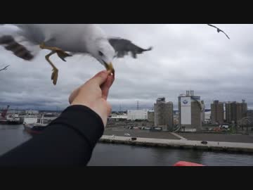 【8日間の旅】俺ら東北さ行くだ～part7完結【V-strom1000・SV400】