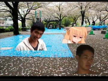 花見の場所を確保するも横取りされる先輩達