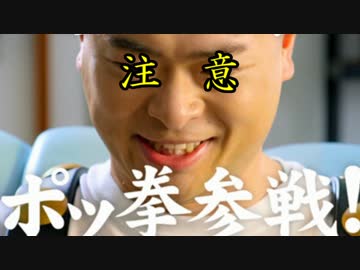 結月ゆかりさんと弦巻マキさんにポッ拳を実況プレイしてもらいたかった