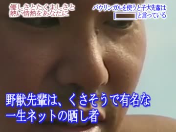 【ポジビアの種】バウリンガルを使うと子犬先輩は？？？と言っている