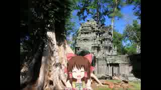 密林の古代文明遺跡神社.mp4