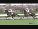 【競馬】2016年 桜花賞 ジュエラー【GI】