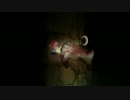 【夜廻】 はじめてのよまわり 第十一夜 【ゆっくり実況】