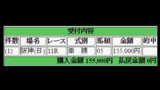 メジャーエンブレムに15万円賭けるだけの枠