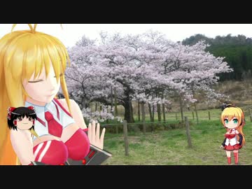 原付二種で名所めぐり　24箇所目【熊本県・桜物語ｽﾀﾝﾌﾟﾗﾘｰ】