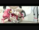 [MMD] Sementara