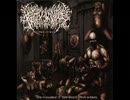 Rotten On Gore