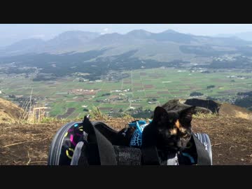 【猫旅】　あずきと阿蘇とラピュタの道