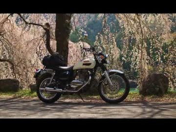 野良猫式アウトドアランチ 満開の桜の下での巻