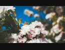 『桜の森』　こっそり弾いて歌ってみました。