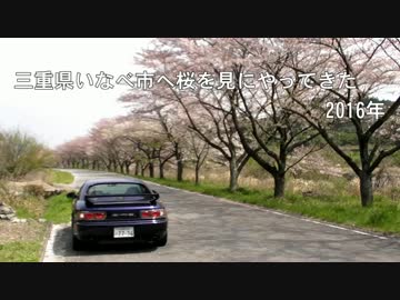 三重県いなべ市まで桜を見に行った　2016