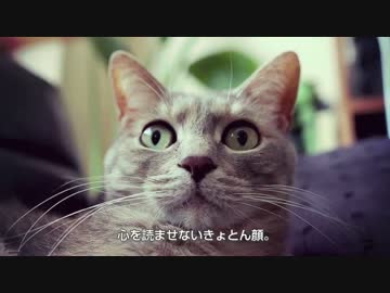 【モアクリ】 月刊モアクリ 2016年3月号