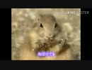 検索してはいけない動画を実況してみた⑰