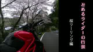 とあるライダーの行楽　桜ツーリング編