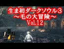 【縛り実況】生まれて初めてダークソウル３やるよ Vol.12