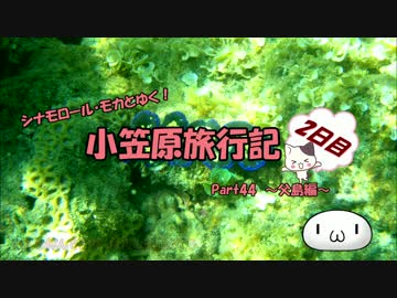 【ゆっくり】小笠原旅行記 Part44(前編) ～父島編～ 境浦周辺シュノーケル