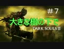 薪の王を捜し出せ【ダークソウル3】＃７
