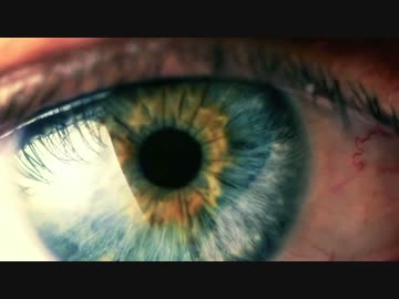 ✿ アリス 歌ってみた feat.花たん