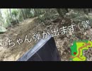 弾が良く出る鈍器です！　OP.237 20160410ジェロニモ