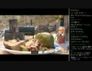 [2016.04.11]ひろくん 動画鑑賞(BBQ)