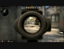 【らっこフェスティバルゲーム実況】 Counter Strike Global Offensive 【Part 3】