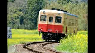 小湊鉄道　菜の花と桜　【写真】