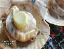 【これ食べたい】　ホタテ