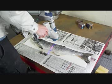 hisa子家のおさかな供養?