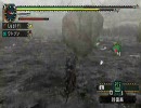 【ＭＨＰ２Ｇ】廃人とヌコの旅ｖｅｒ3～イベクエ：ババコンガ二頭～2/2