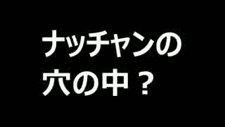 ナッチャンの穴の中を覗いてみたら、、、【フェリー】