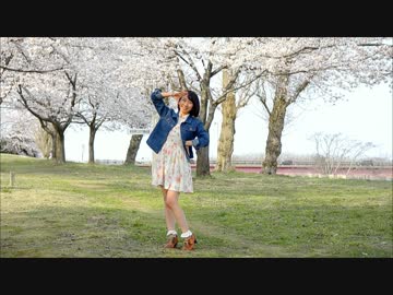 【まひる✿】ハルイチ。【踊ってみた】