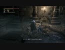 【獣狩り】 Blood borne 【実況】 DLC編　partEX1