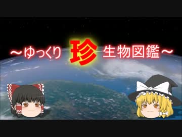 ～ゆっくり　珍　生物図鑑～　新・第30回