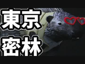 東京で弱肉強食トーキョージャングル実況プレイ【21】