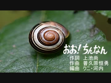 こっちゃん「おお！ちんなん」(歌詞ver)