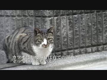 カツオだし焦がしバターたぬきチキン南蛮そば