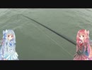 きまぐれ水【上】観察その1、赤羽根漁港の船道