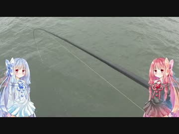 きまぐれ水【上】観察その1、赤羽根漁港の船道